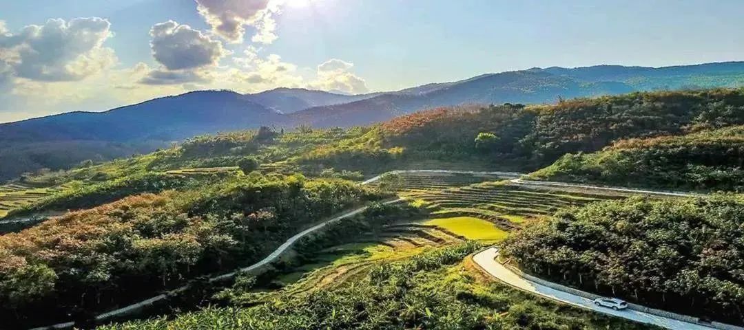 高速公路上也有斑马线？这些公路“冷知识”你知道吗→