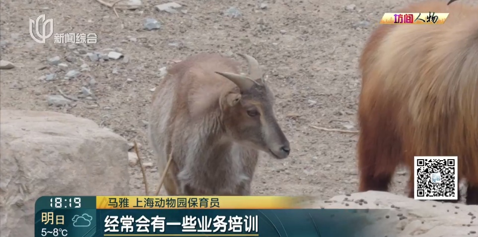 00后女生剑桥毕业,回上海找的工作让所有人意外!本人回应→ 00后女生剑桥毕业,回上海找的工作让所有人意外!本人回应→