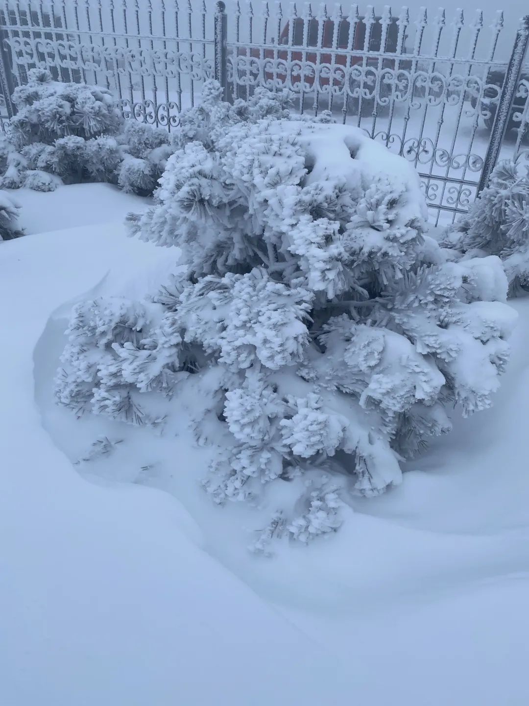 零下7℃！大到暴雪！刚刚确认：杭州又来一波猛的！周末出门千万注意.....