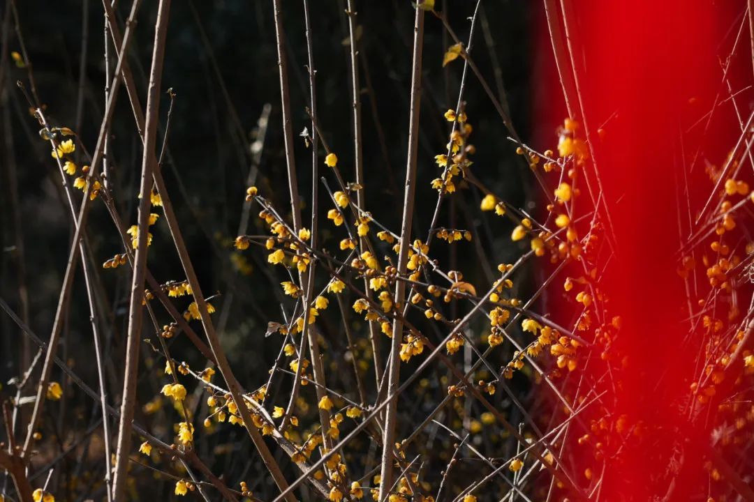 狠狠治愈!春天就要来北京爬这些山! 狠狠治愈!春天就要来北京爬这些山!