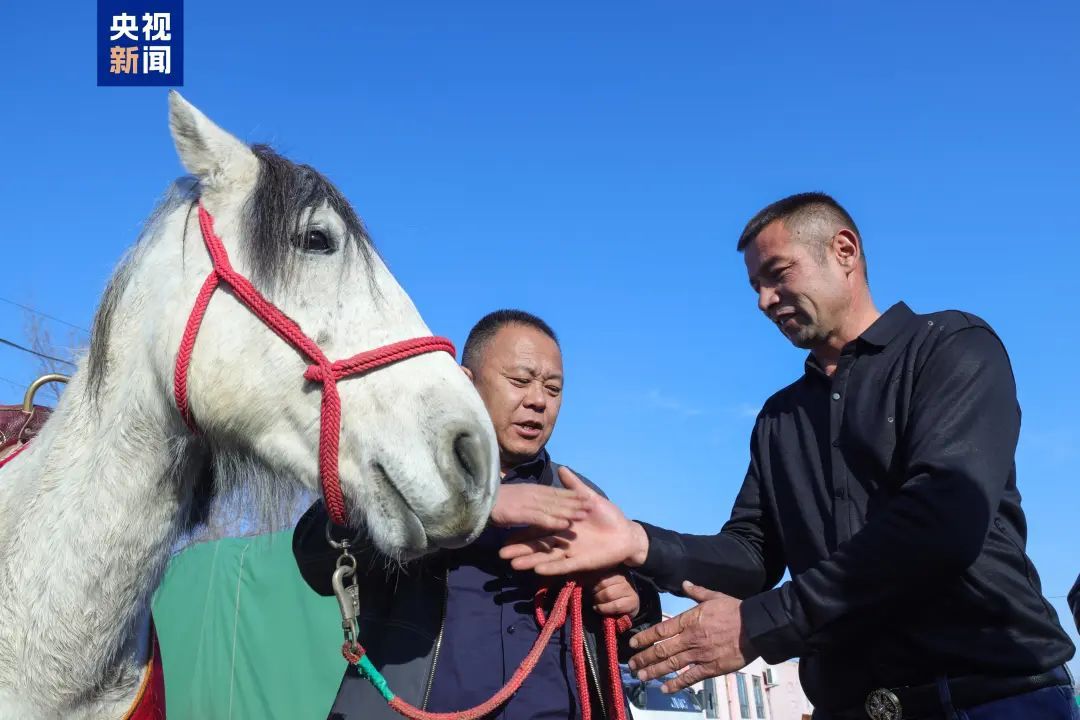 “与‘白龙’马长得太像了”！骑马救人大哥获赠一匹新白马