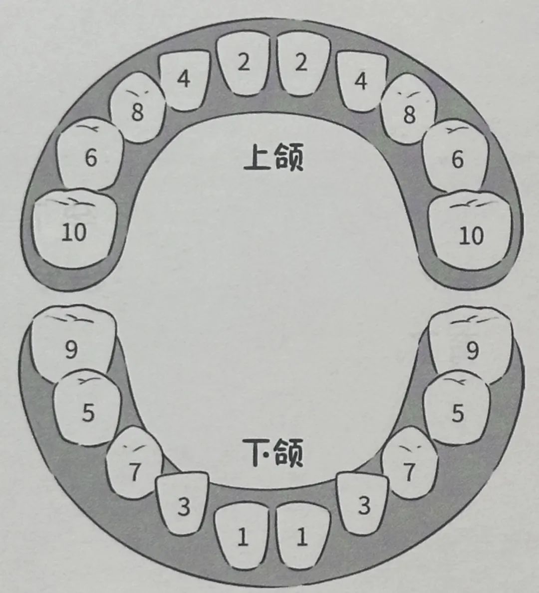哪吒的乳牙,引发了口腔医生的强迫症?! 哪吒的乳牙,引发了口腔医生的强迫症?!