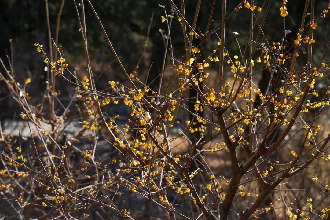 狠狠治愈!春天就要来北京爬这些山! 狠狠治愈!春天就要来北京爬这些山!