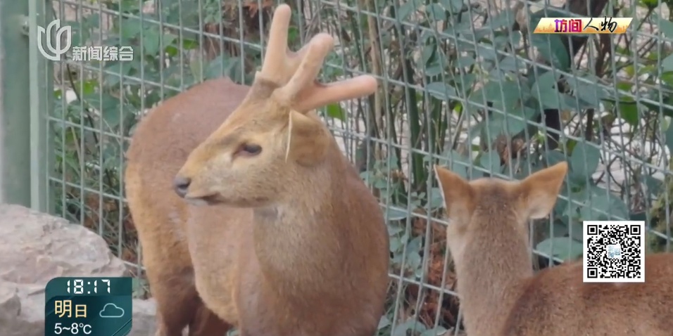 00后女生剑桥毕业,回上海找的工作让所有人意外!本人回应→ 00后女生剑桥毕业,回上海找的工作让所有人意外!本人回应→