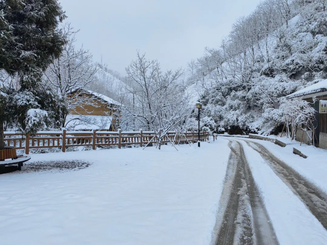 零下7℃！大到暴雪！刚刚确认：杭州又来一波猛的！周末出门千万注意.....