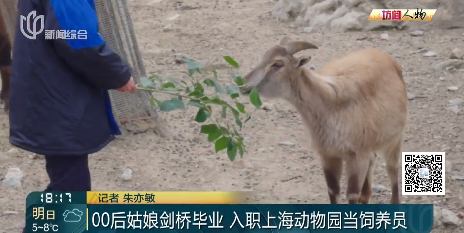 00后女生剑桥毕业,回上海找的工作让所有人意外!本人回应→ 00后女生剑桥毕业,回上海找的工作让所有人意外!本人回应→