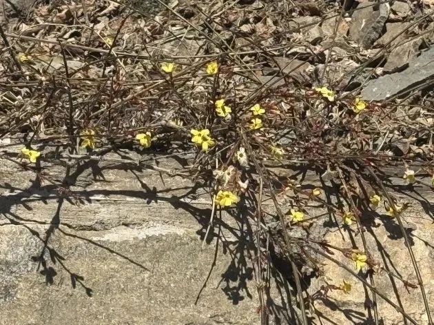 狠狠治愈!春天就要来北京爬这些山! 狠狠治愈!春天就要来北京爬这些山!