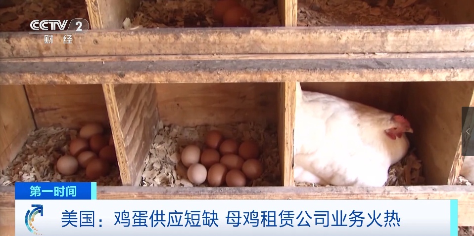 价格飙涨！发生了什么？