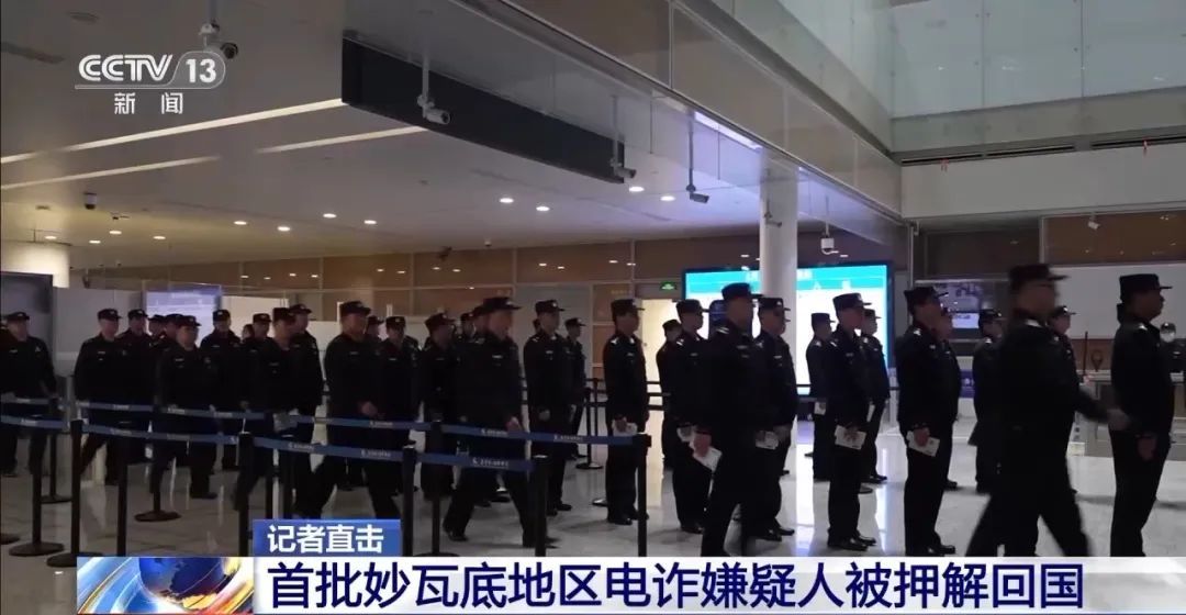 200多人被押解回国！细节披露→
