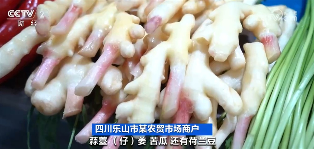 各地时令春菜争“鲜”上市丰富“菜篮子” 民众食春味知春意