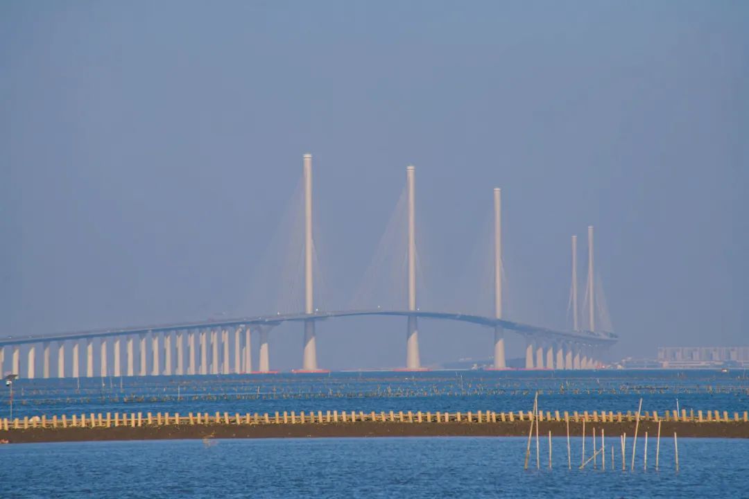 黄茅海跨海通道，下周五起开始收费