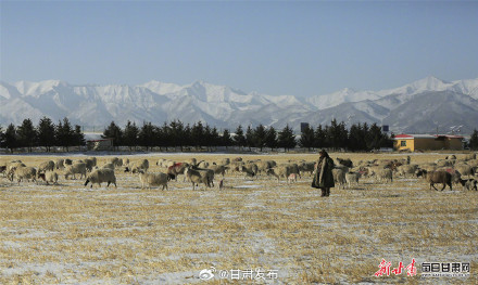 山丹马场早春雪原牧歌图确实美