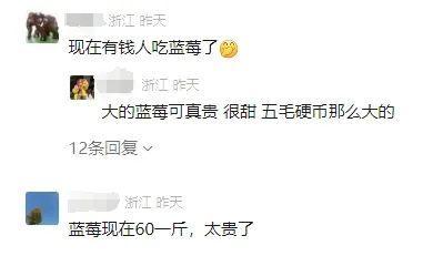 价格暴跌，有老板库存卖空！“从没见这么便宜过”