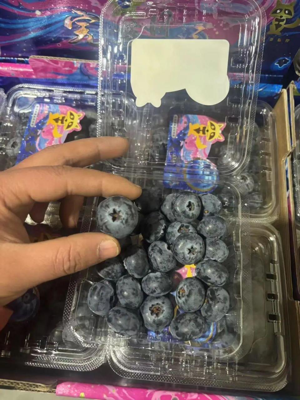 价格暴跌，有老板库存卖空！“从没见这么便宜过”