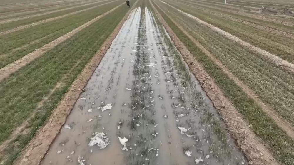 全部导航(图1)