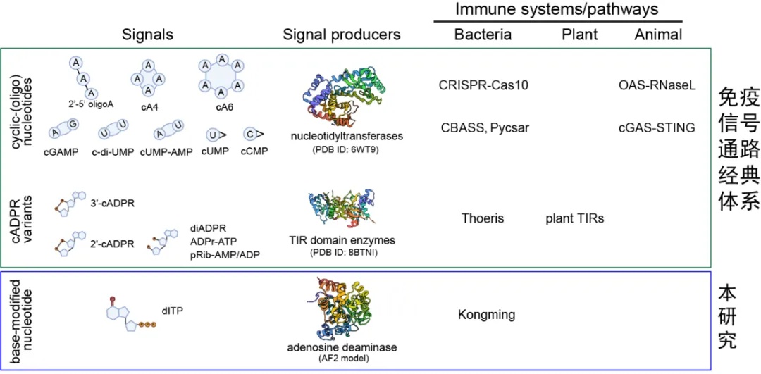 我国科学家，重大发现！