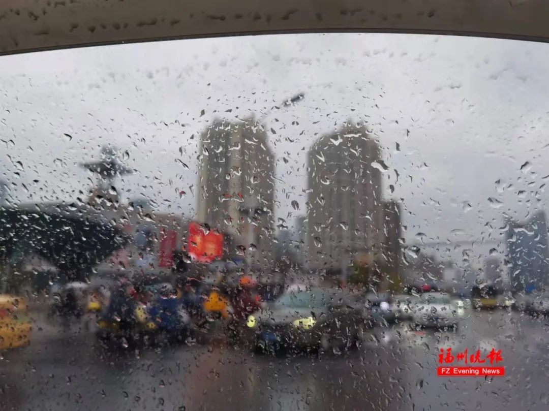 大风预警！湿冷“暴击”！福建雨雨雨又要来了