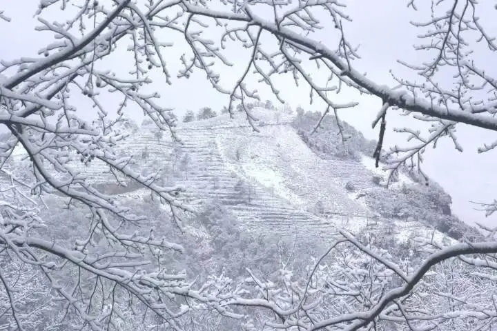 上海明天气温暴跌，最低-3℃！周末不少人纷纷离沪，就为……