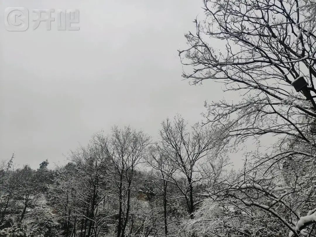 “好厚的雪🤩”不少杭州人涌入！有人凌晨5点就出发……网友：还能看到吗？