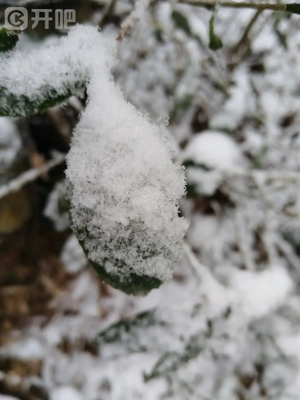 “好厚的雪🤩”不少杭州人涌入！有人凌晨5点就出发……网友：还能看到吗？