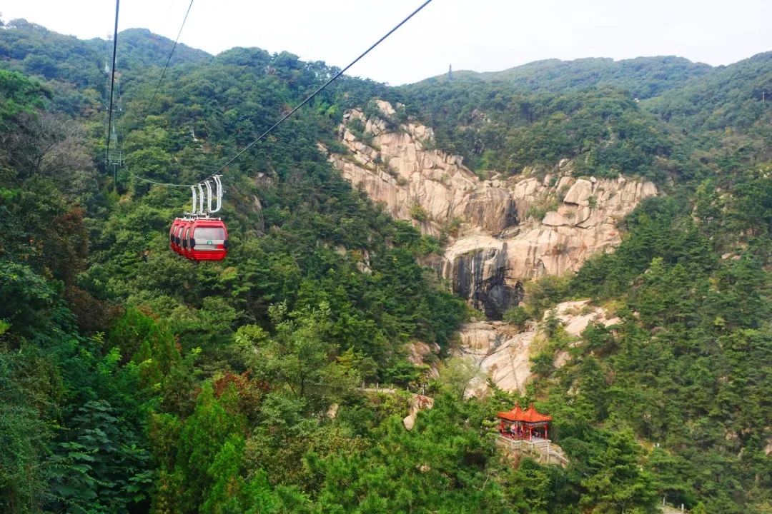 多家景区免票！半价！只要有它……