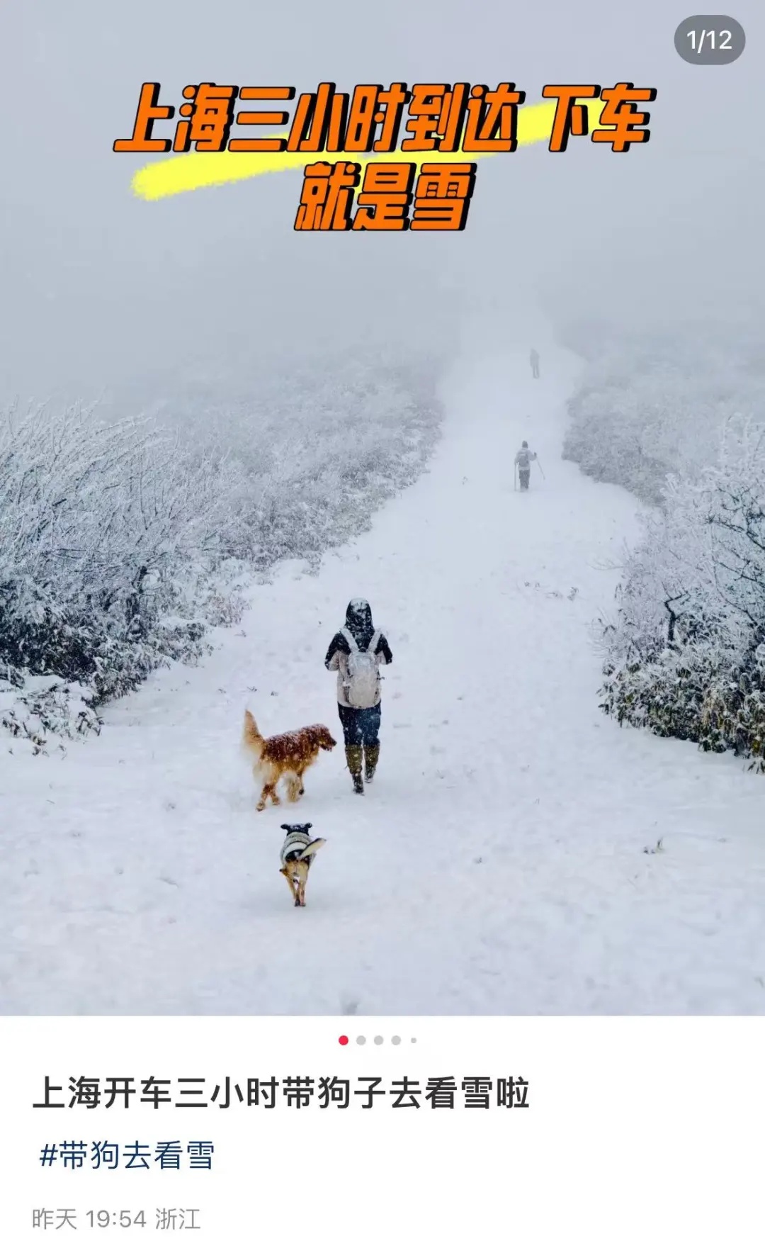 上海明天气温暴跌，最低-3℃！周末不少人纷纷离沪，就为……