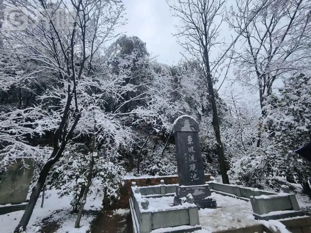 “好厚的雪🤩”不少杭州人涌入！有人凌晨5点就出发……网友：还能看到吗？