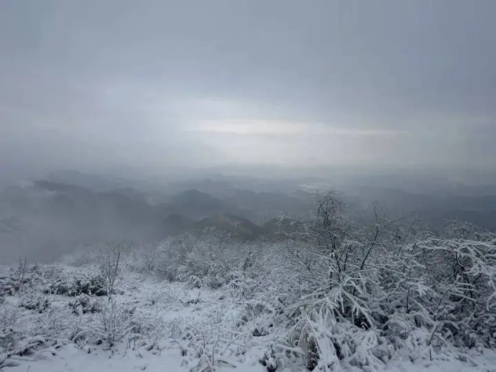 上海明天气温暴跌，最低-3℃！周末不少人纷纷离沪，就为……