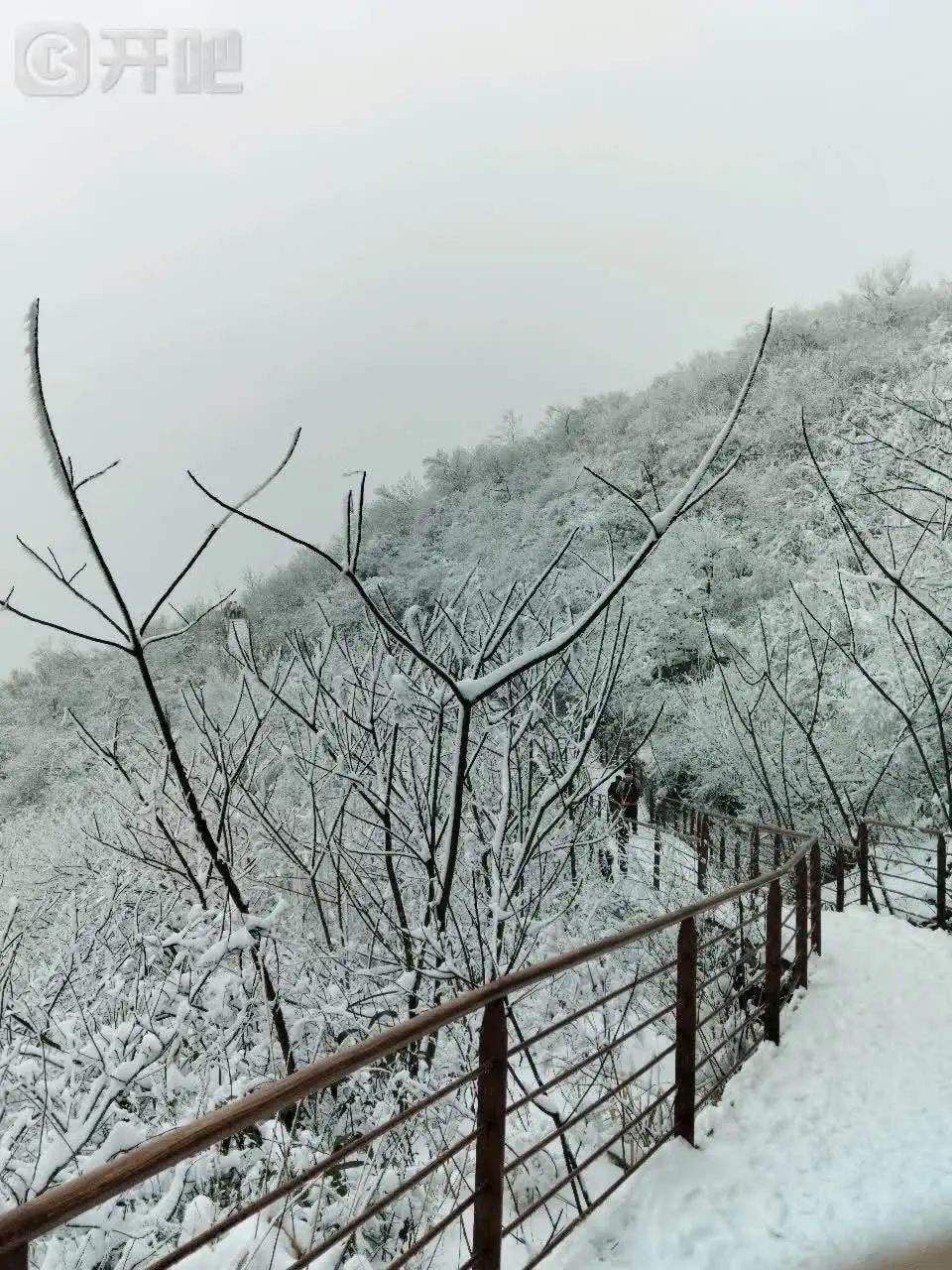 “好厚的雪🤩”不少杭州人涌入！有人凌晨5点就出发……网友：还能看到吗？