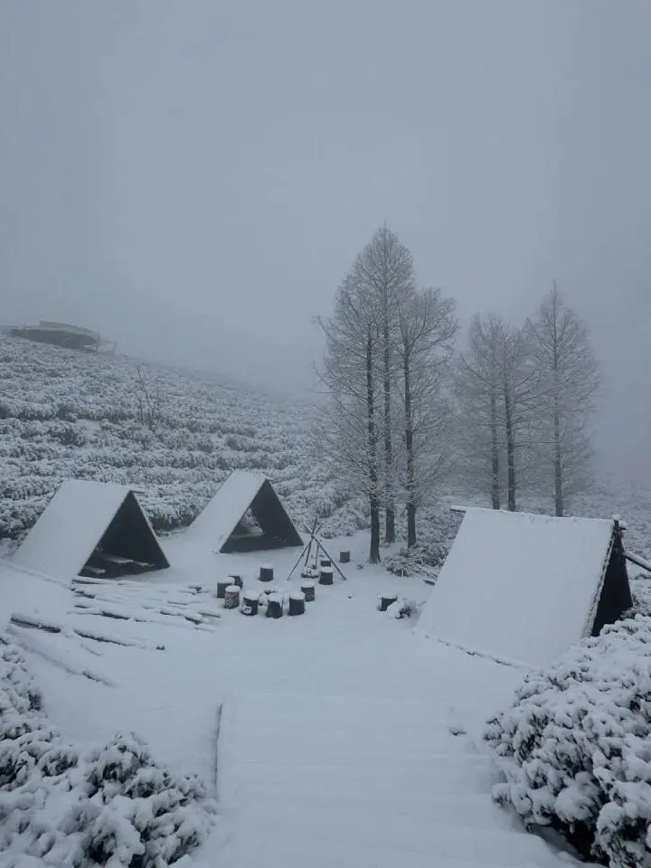 上海明天气温暴跌，最低-3℃！周末不少人纷纷离沪，就为……