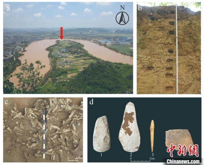 植物考古研究分别揭示广西福兰、江西岸遗址史前人类生活方式