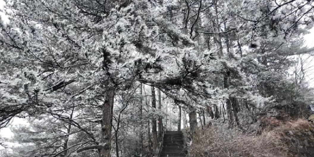 安徽多地降雪！最新重要提示！