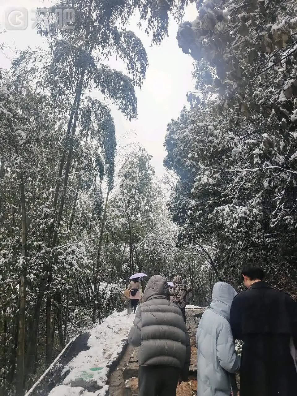 “好厚的雪🤩”不少杭州人涌入！有人凌晨5点就出发……网友：还能看到吗？