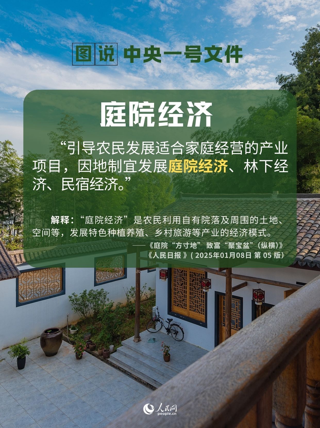 农业新质生产力、南繁硅谷……带你读懂中央一号文件中的这些热词