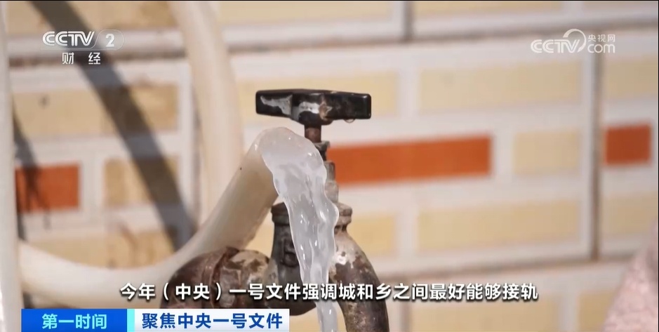 2025年中央一号文件中有哪些农村改革亮点？专家解读→