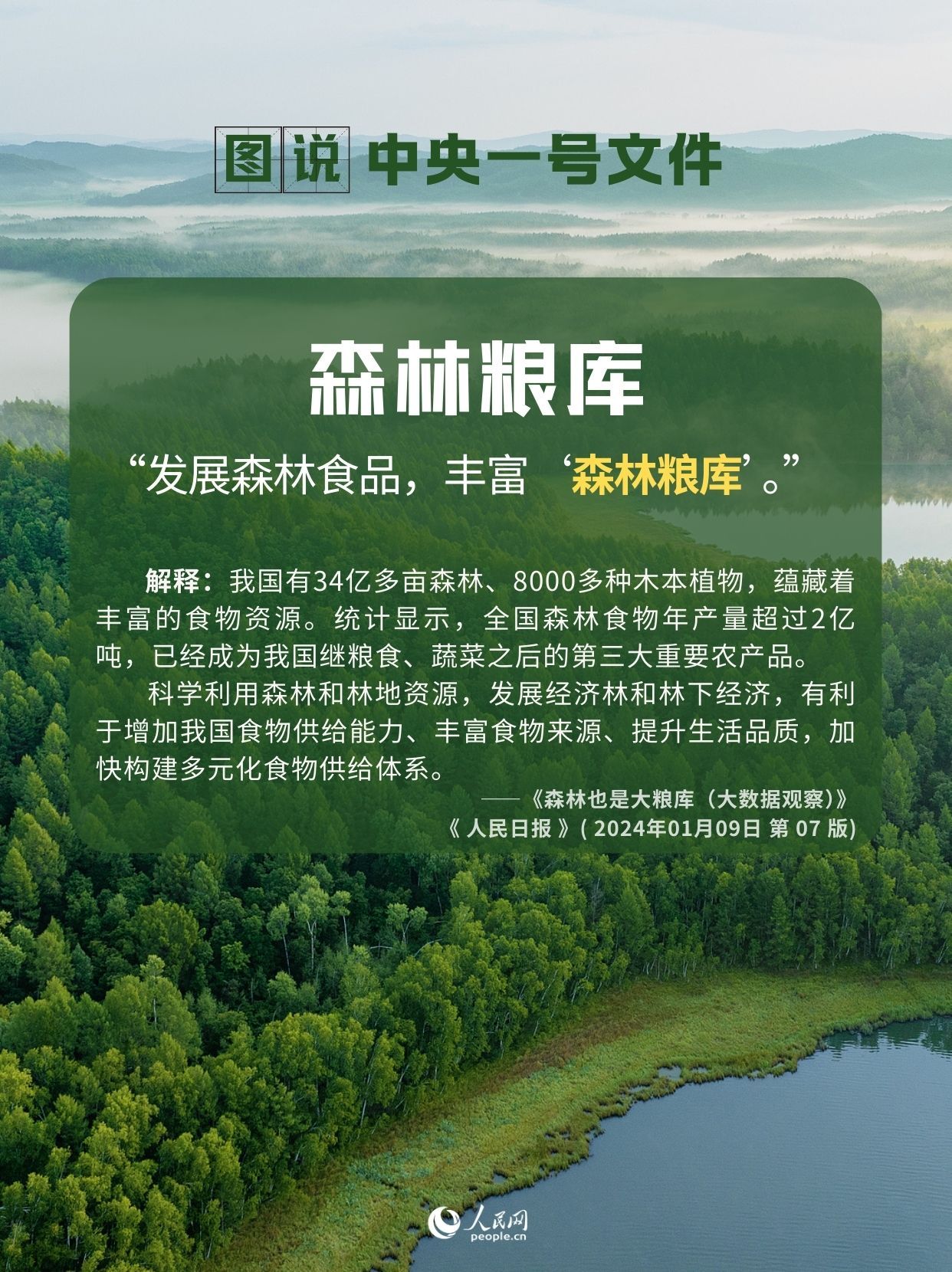 农业新质生产力、南繁硅谷……带你读懂中央一号文件中的这些热词