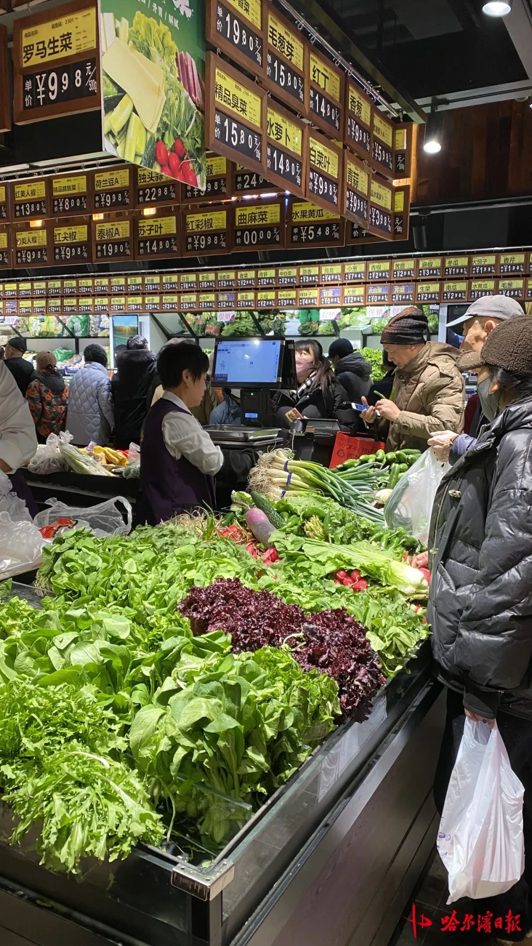 这一口“鲜”能吃到4月，哈市早春“蘸酱菜”上市！价格比往年更实惠