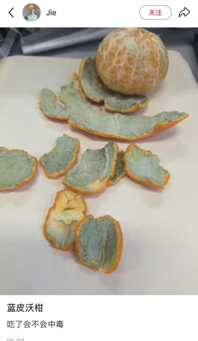 买到的橘子果皮变蓝是发霉了吗?还能吃吗? 买到的橘子果皮变蓝是发霉了吗?还能吃吗?