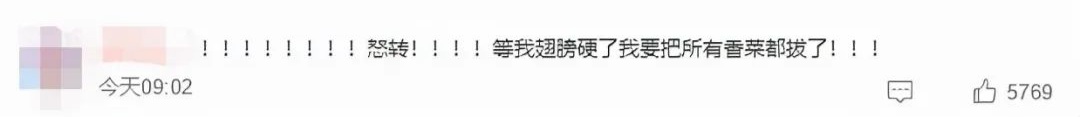 今天是世界讨厌香菜日，全球这么多人觉得香菜不“香”！