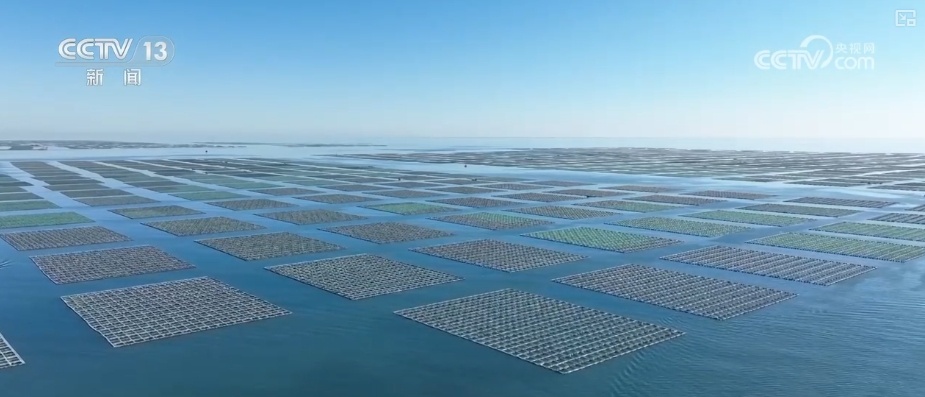 105438亿、62849亿、4880亿……“数”说海洋经济强劲发展势头