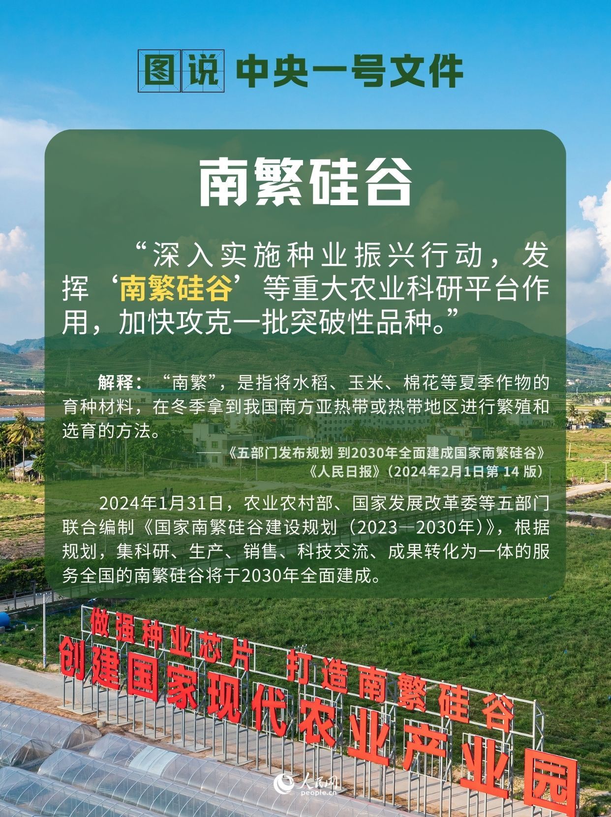 农业新质生产力、南繁硅谷……带你读懂中央一号文件中的这些热词