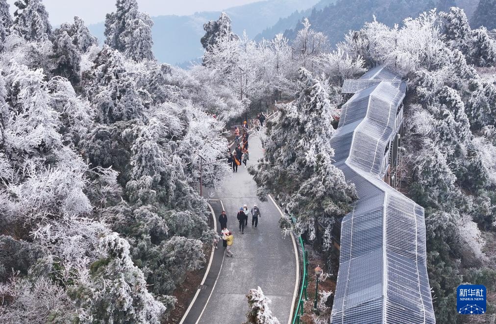 白雪却嫌春色晚