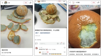 买到的橘子果皮变蓝还能吃吗?看完这篇你就明白了 买到的橘子果皮变蓝还能吃吗?看完这篇你就明白了