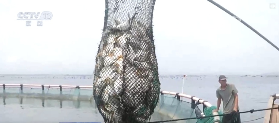 105438亿、62849亿、4880亿……“数”说海洋经济强劲发展势头