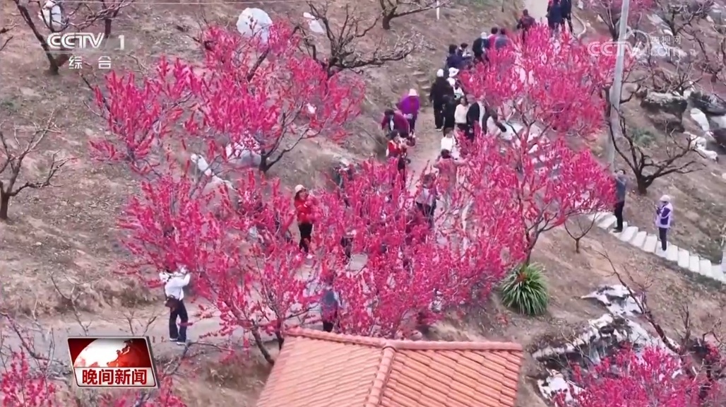 享受春日美景、品尝“头春”味道……“春日经济”活力旺