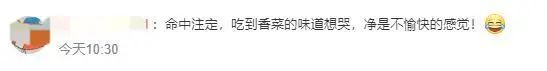 今天是世界讨厌香菜日，全球这么多人觉得香菜不“香”！