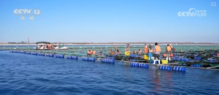 105438亿、62849亿、4880亿……“数”说海洋经济强劲发展势头