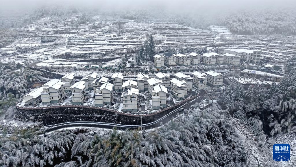 白雪却嫌春色晚