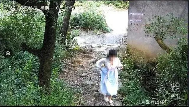 女大学生逃票进景区后坠亡，其父母向景区索赔95万元，法院判了→