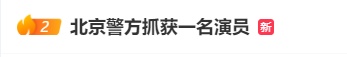 北京警方抓获“演员”，案件详情公布
